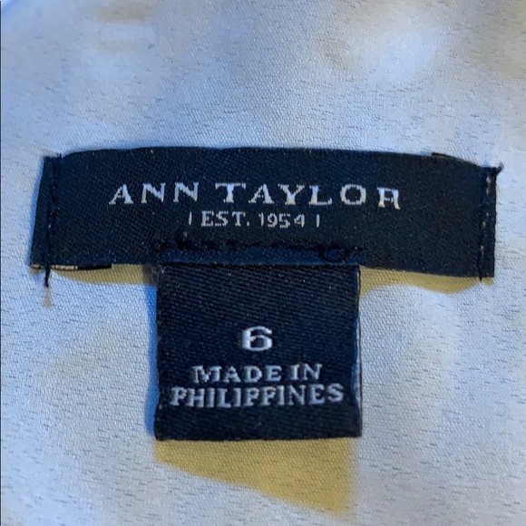 Ann Taylor Shift Dress - Picture 5 of 5